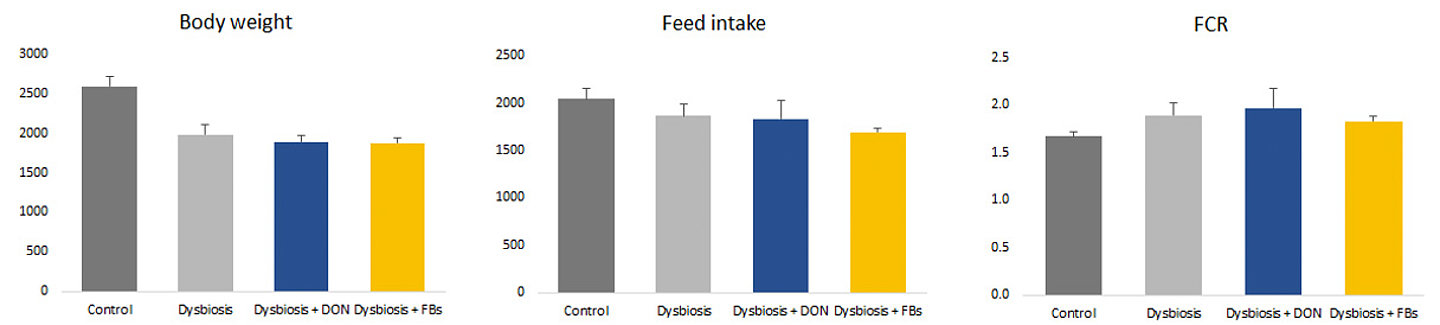 Figure 3. Performance parameters in day 39 of broiler chickens